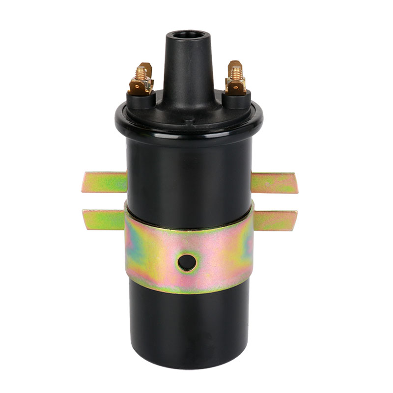 IGNITION COIL OIL